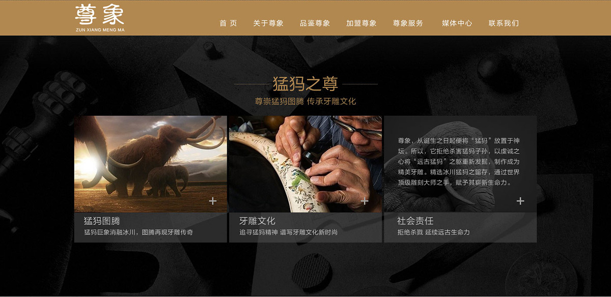 深圳網(wǎng)站設(shè)計公司